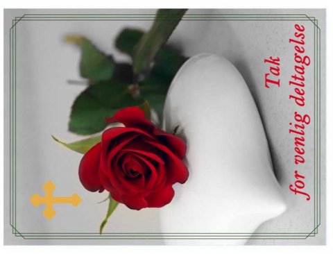 Tak for venlig deltagelse