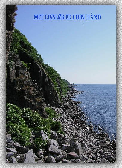 Mit livsl�b er i din h�nd.