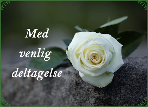 Med venlig deltagelse