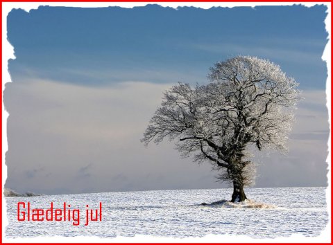 Gldelig Jul