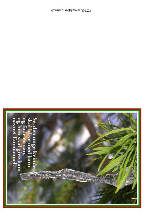 Se, den unge kvinde...