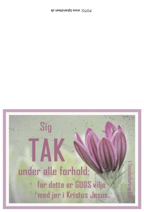 Sig tak under alle forhold