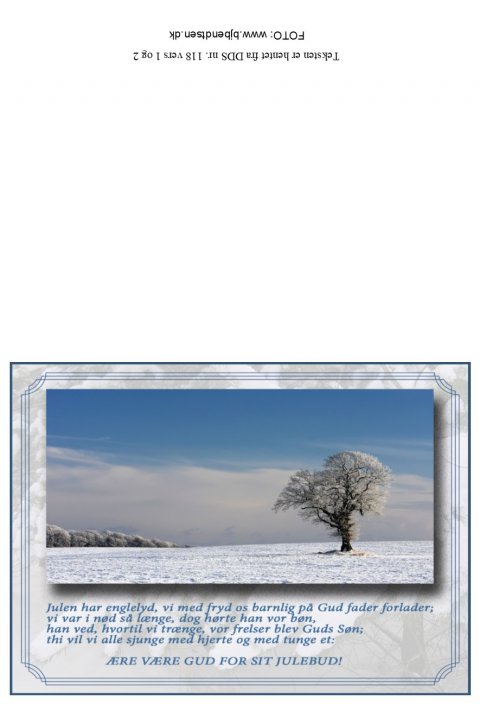 Julen har englelyd...