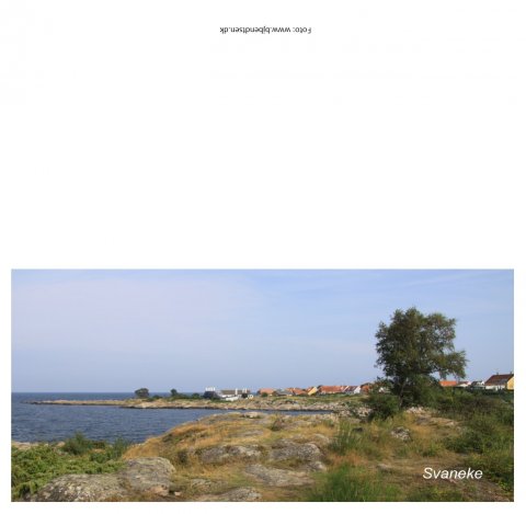 Svaneke