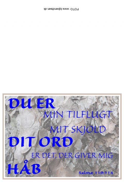 Du er min tilflugt...