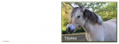 Tillykke